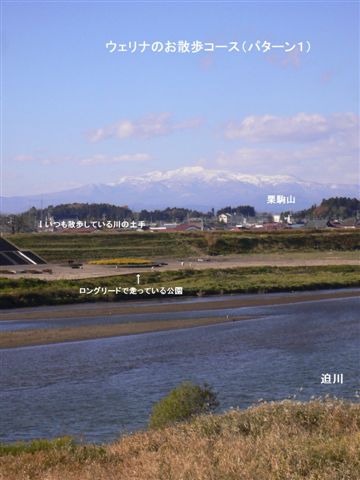d0123930_213869.jpg