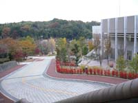 c0133533_23532167.jpg