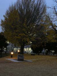 c0133533_23551296.jpg