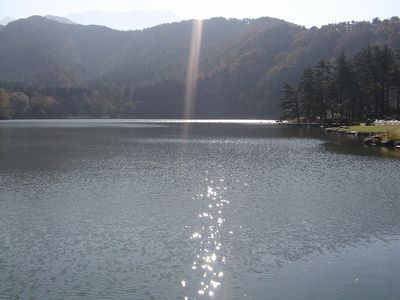 b0024435_20435459.jpg
