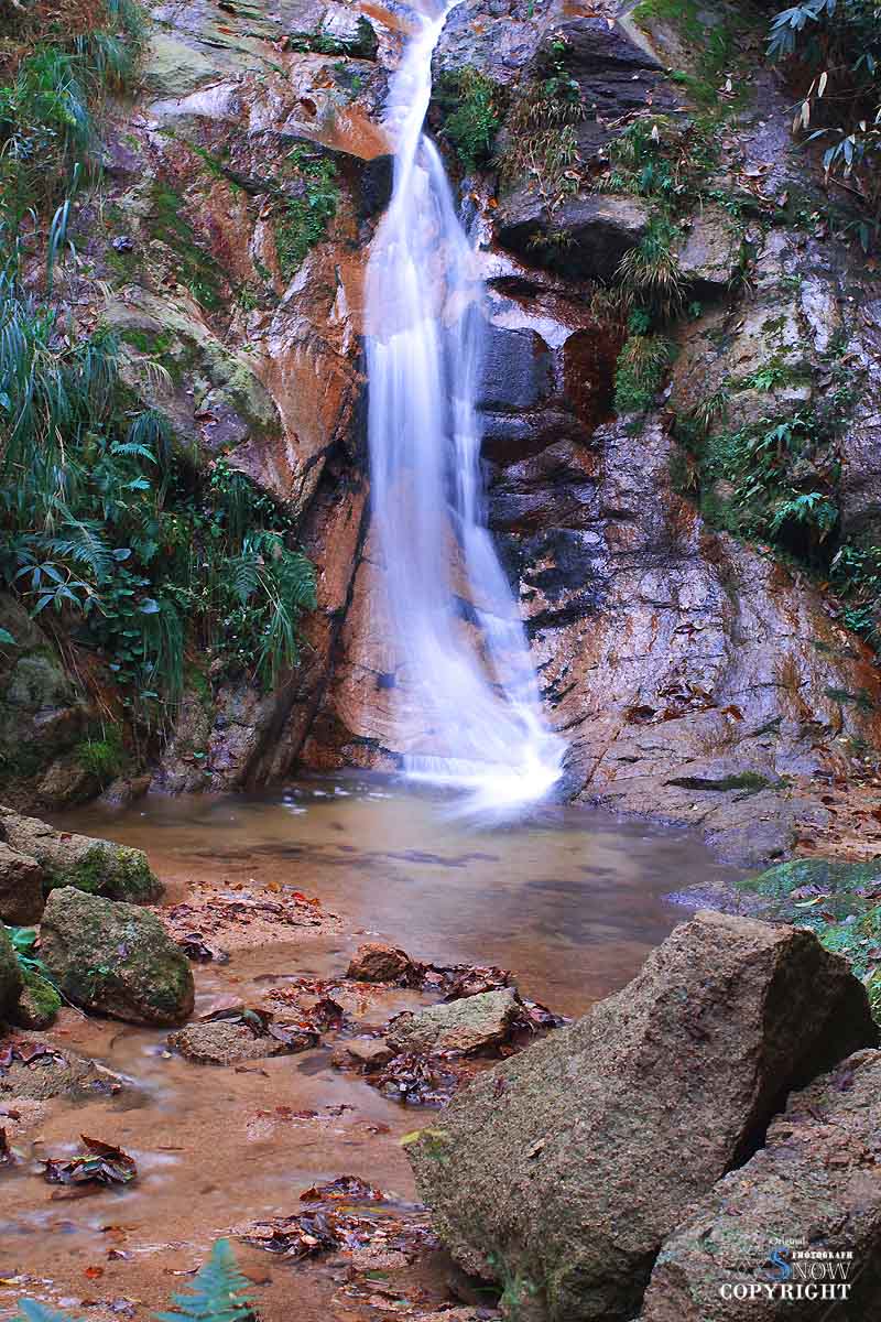 f0005935_22581556.jpg