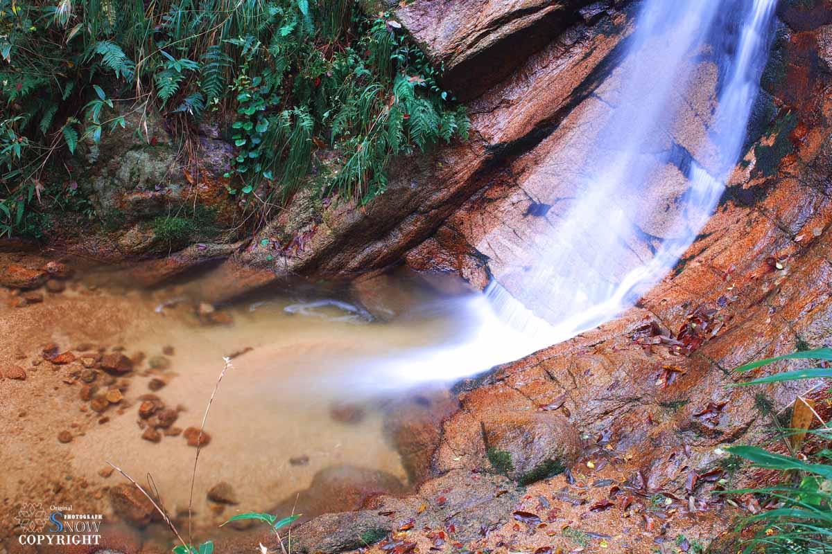 f0005935_22585049.jpg
