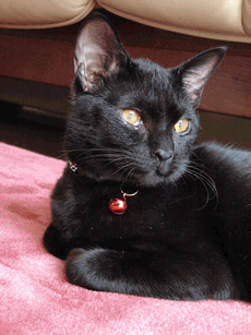 c0136736_2249194.gif