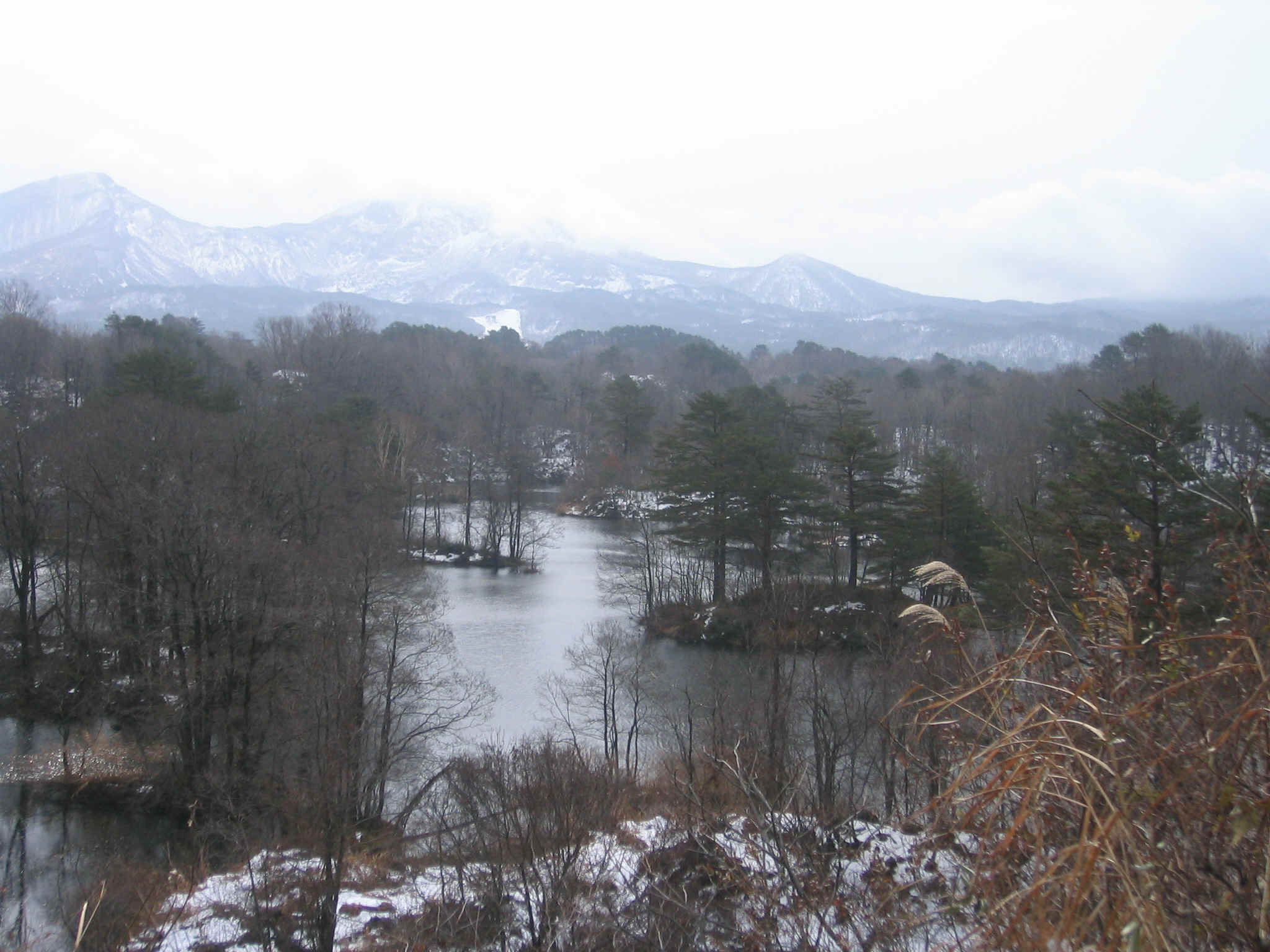 d0106440_2150565.jpg