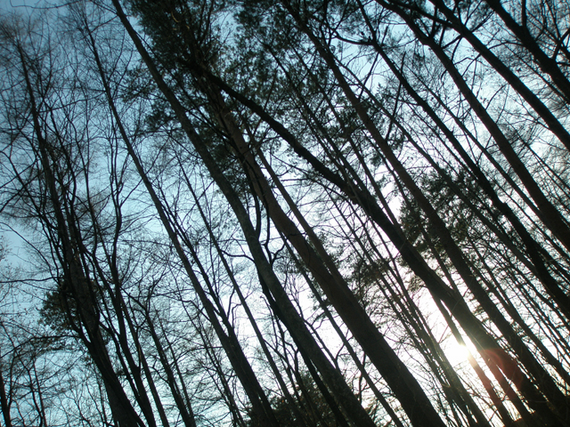 c0140843_15301426.jpg