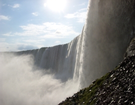 d0058543_21166.jpg
