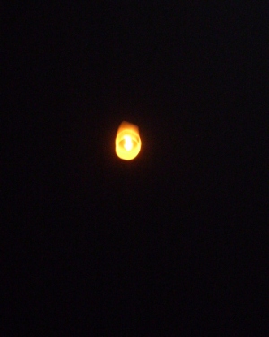 e0027447_0301569.jpg