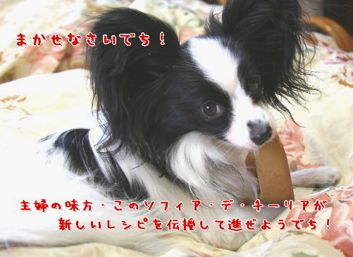 d0013149_00384.jpg