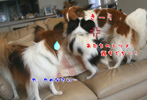 d0013149_0263573.jpg