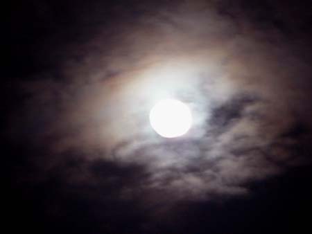 b0049152_18551161.jpg