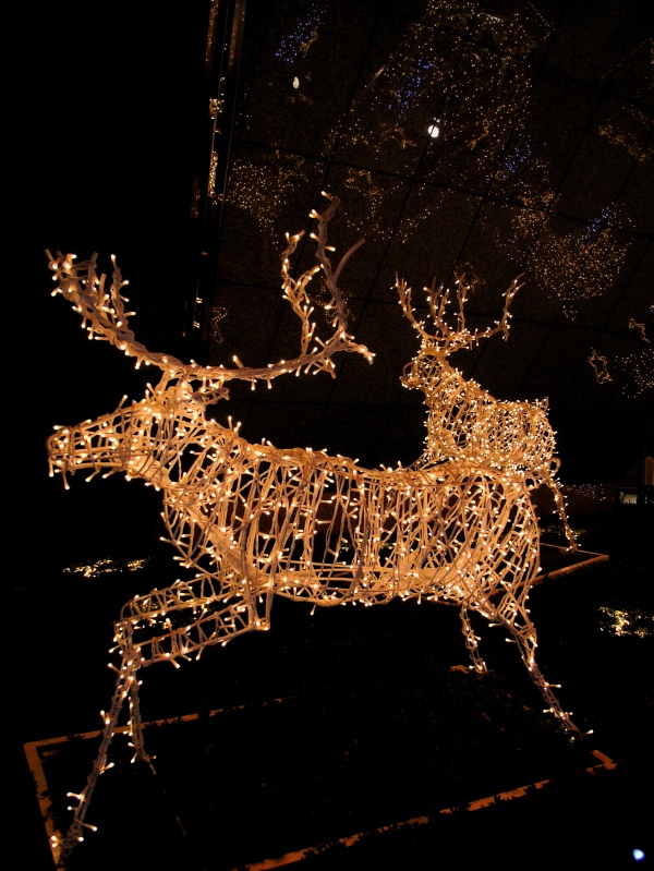 f0070556_2304685.jpg