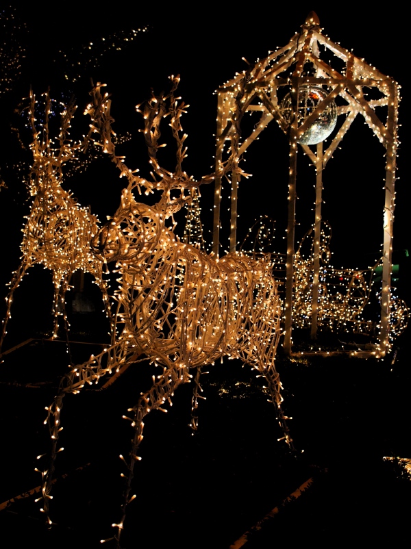 f0070556_230541.jpg
