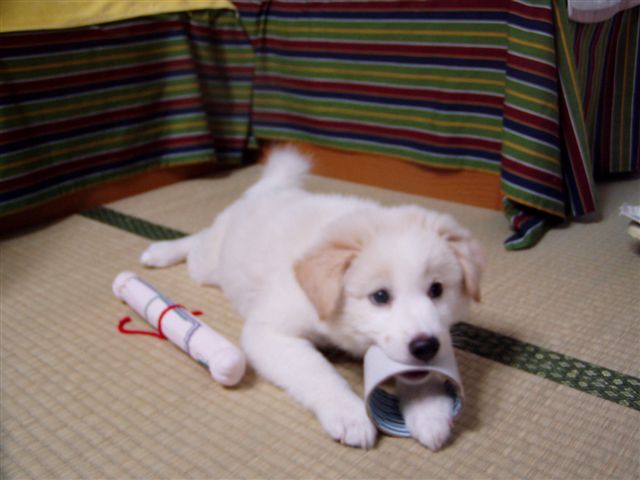 f0013459_15115845.jpg