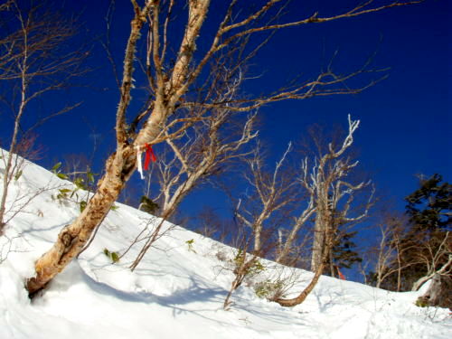 b0050067_0541464.jpg
