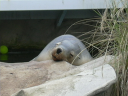 d0128469_1212860.jpg