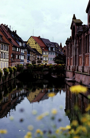 d0045372_1858277.jpg