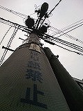 e0081772_1125751.jpg