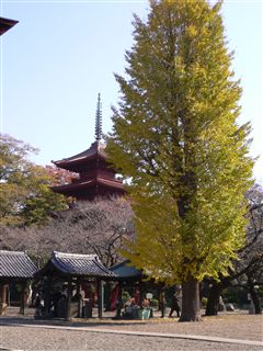 f0001378_2057638.jpg