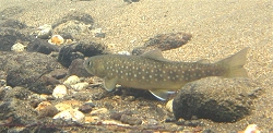 c0091679_21285545.jpg