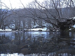 c0091679_21304493.jpg