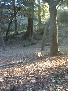 f0004180_23515416.jpg