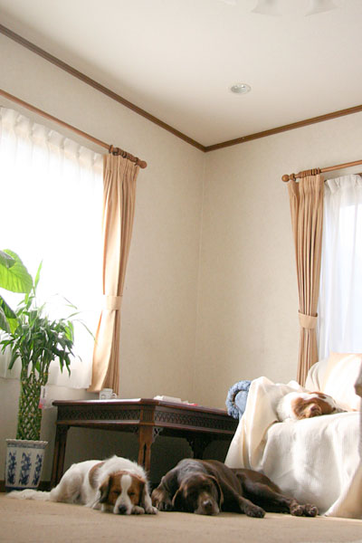 f0133681_010159.jpg