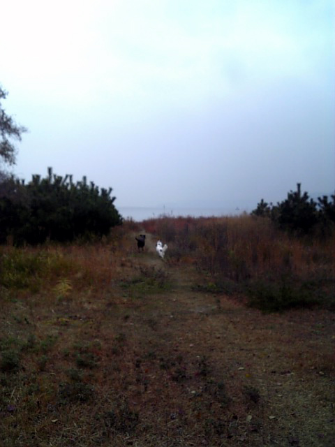f0133681_20273310.jpg