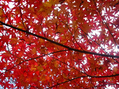 f0004182_0145455.jpg