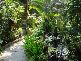 c0153292_134518.jpg