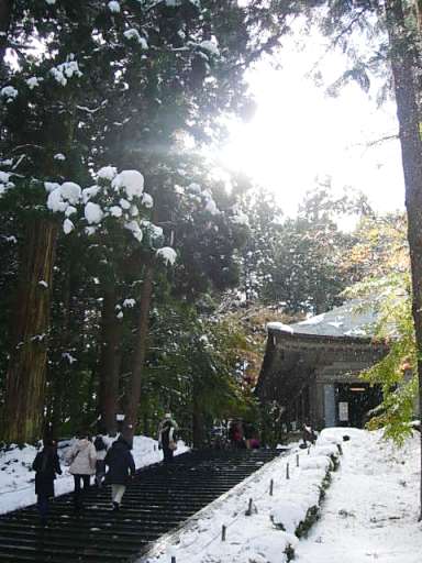 c0000093_22515824.jpg