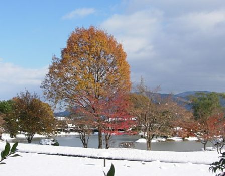 c0000093_22534144.jpg