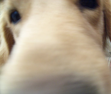 c0096393_2132230.jpg