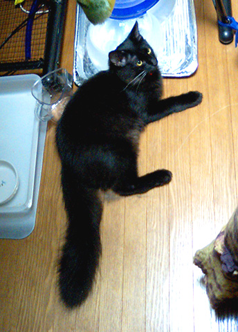 e0019594_12403472.jpg