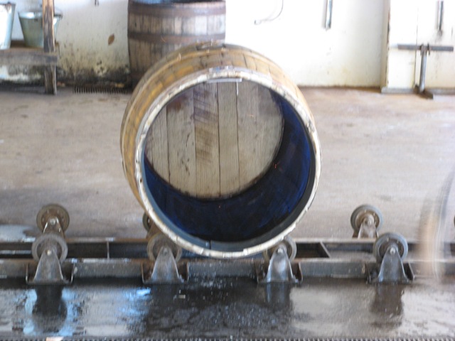 f0084695_1153831.jpg