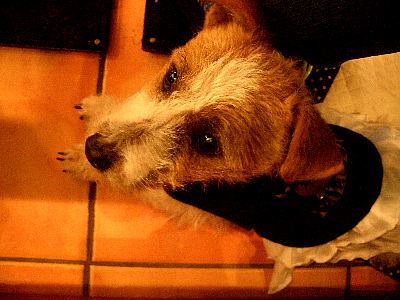 a0051402_0443522.jpg