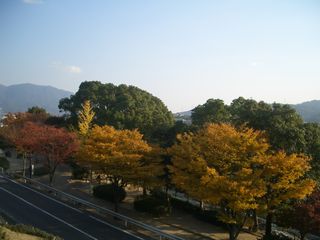b0061107_22313710.jpg