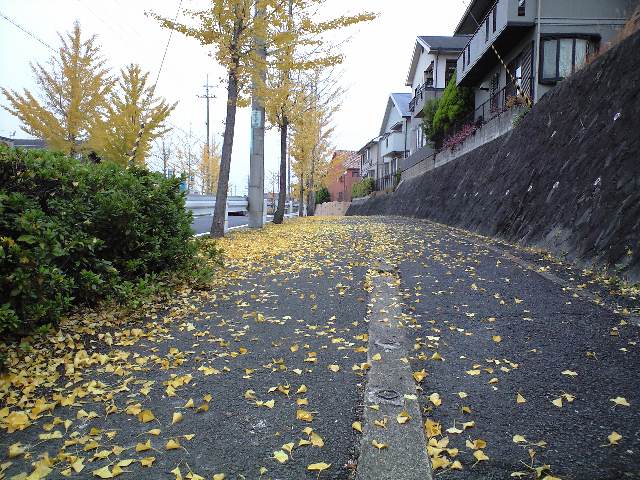 d0000607_1983245.jpg