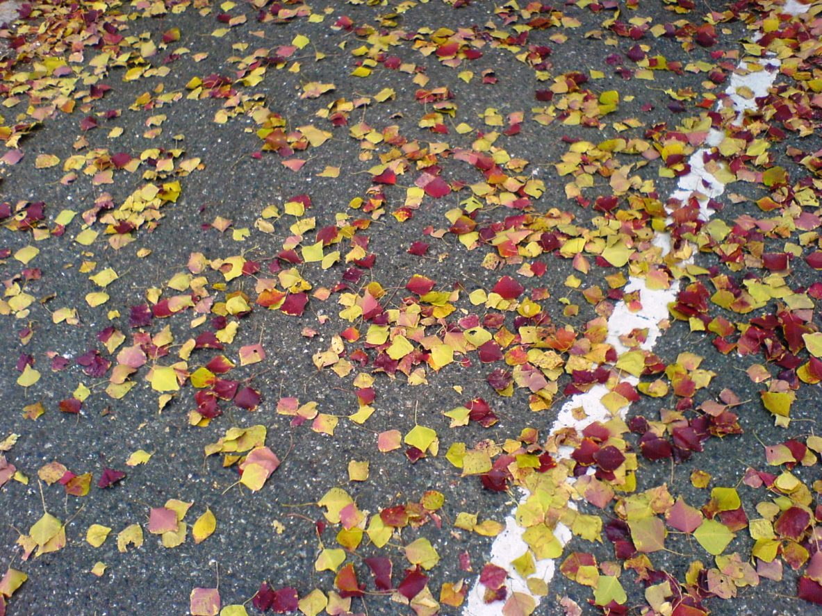 c0039010_2142354.jpg