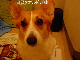 c0153410_1492220.jpg