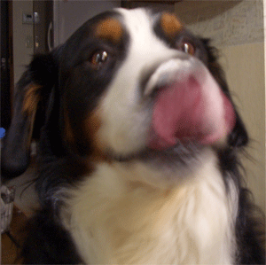 c0143711_21212134.gif