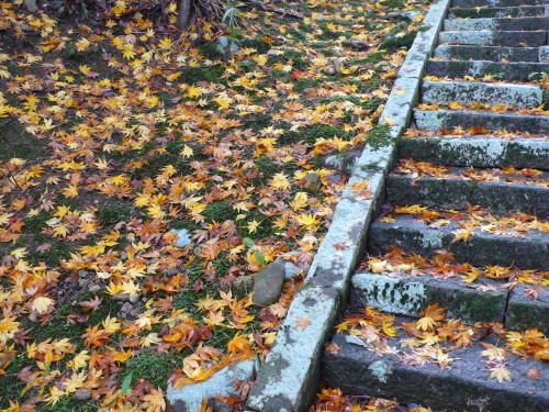 c0035912_16532623.jpg