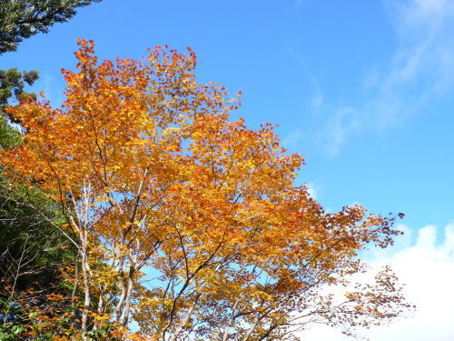 c0035912_1653288.jpg