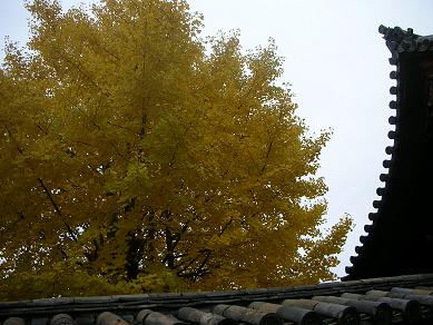 f0158313_23523235.jpg
