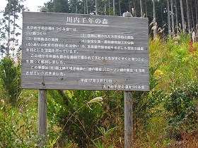 e0002820_212869.jpg
