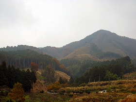 e0002820_2294897.jpg