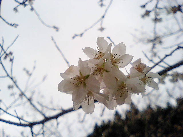e0123920_11202054.jpg