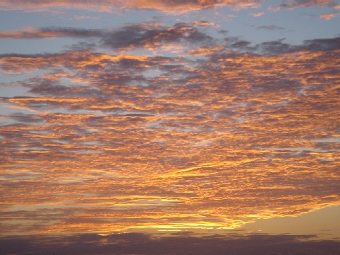 c0003723_20585173.jpg