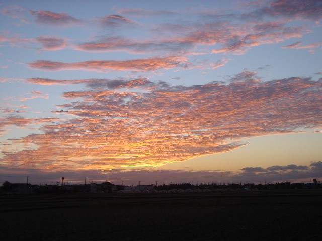 c0003723_2142746.jpg