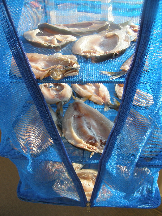 f0103126_2314515.jpg