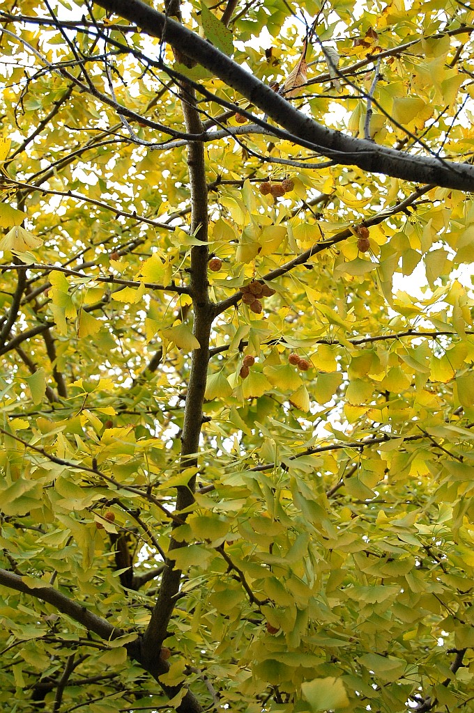 e0107030_1049185.jpg